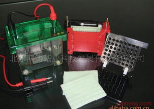 鴻濤基業(yè)化妝品加盟連鎖 開啟創(chuàng)業(yè)新篇章，火爆招商進(jìn)行中